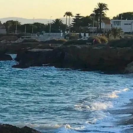 Tres Palmeras Vinarós