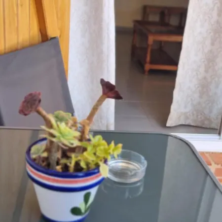 Διαμέρισμα Tres Palmeras